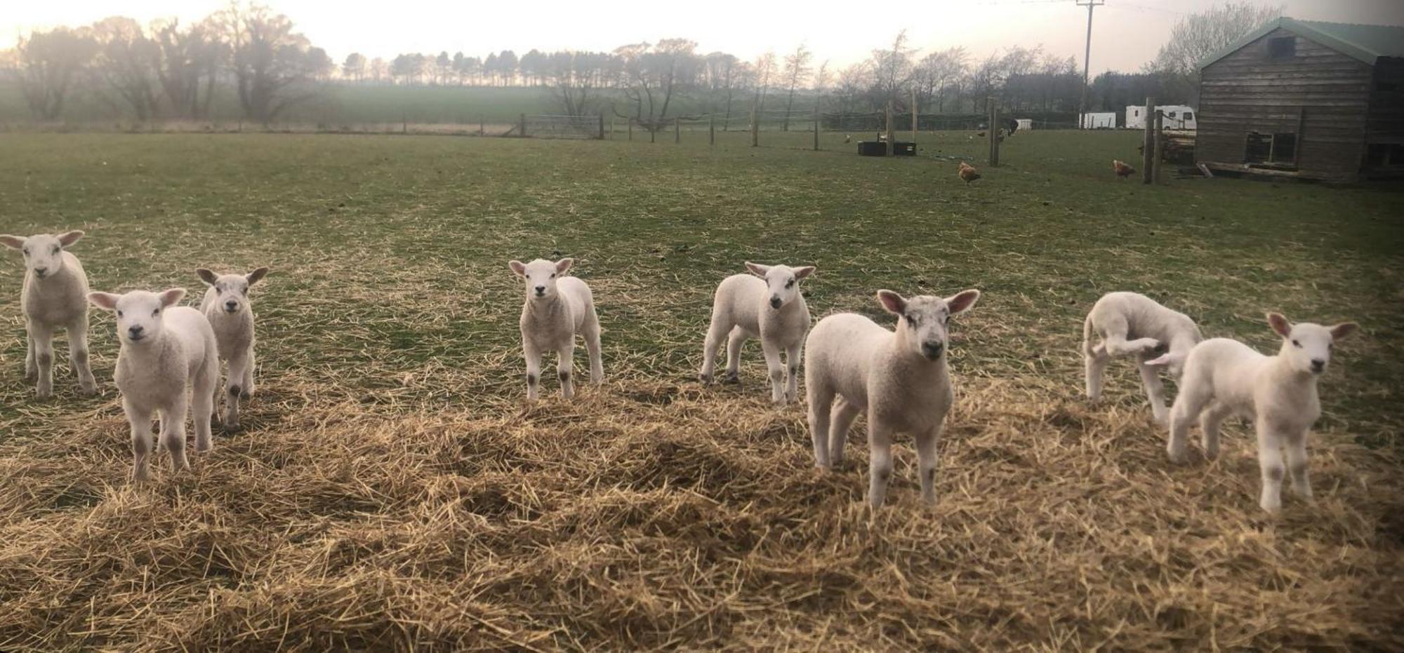 Villa The Farm Burscough Esterno foto